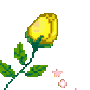 d_rose_yellow