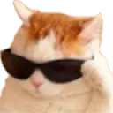 NS_CatCool