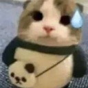 md_a_CatOops Discord emoji