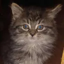 ThousandYardStare