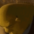 shrek_toxic Discord emoji