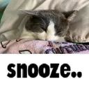sog_snooze