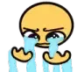 floodingcry