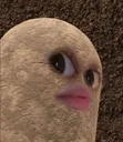 potatostare
