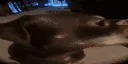 uhhh