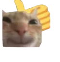 Discord_emoji_catremovebgpreview