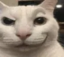 rizzcat