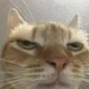 annoyed