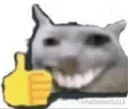 thumbsupcatmeme