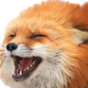 IRLFoxWimdy