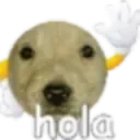hola