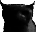 Sadbruhcat
