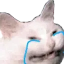 cryingcat
