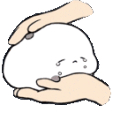 cute83 animated Discord emote from Lemniscate Network