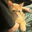 FuckYouBond