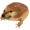 chim