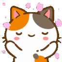 Cat_SpinConfetti