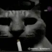 SmokingCarl SmokingCarl
