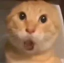 OoO OoO