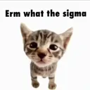whatthesigma