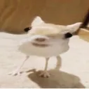 bubu_creature
