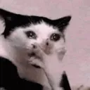 disbelief