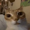 ermStare