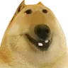 DurpyDog