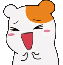 KBBQ_Hamtarohappy