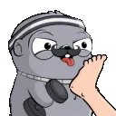 fugfoot