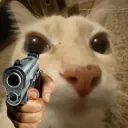 cattogun
