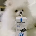 dumbbitch dumbbitch