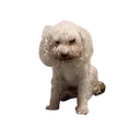 :johnnysit: :johnnysit: