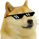 Doge2