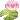 c_lilypad