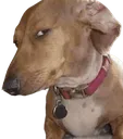sideeye sideeye