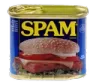 spam