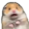 scaredhamster