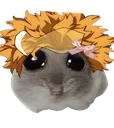 HawksHamster HawksHamster