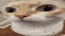 uuh uuh