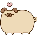 Pugsheen Pugsheen
