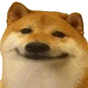 Doge