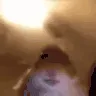 lol