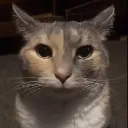 stare
