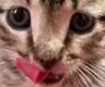 cindertasty cindertasty
