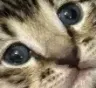 cinderstare
