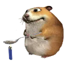 chomik2