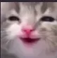 dsfadsa dsfadsa