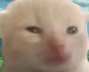 smol