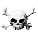 crossboneskull